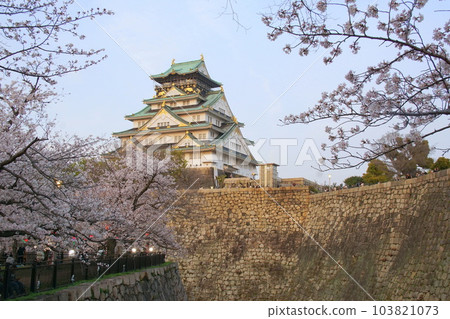 櫻花盛開的大阪城天守閣 103821073