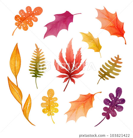 Autumn leaves cartoon style set. Watercolor painted illustration. Hand drawn fall season leaf element collection. Bright autumn fallen leaves on white background 103821422
