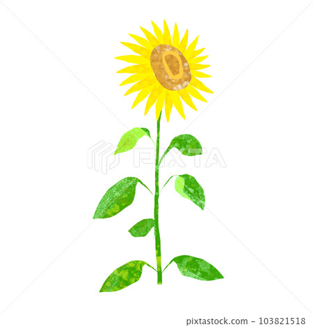 Watercolor sunflower illustration Watercolor sunflower illustration 103821518