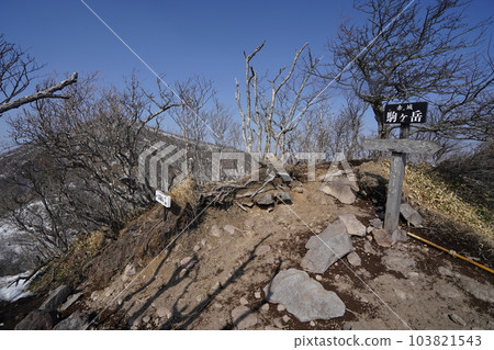 草春赤城 從駒嶽山頂前往駒岳 2023 年 3 月 8 日 103821543