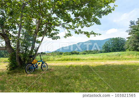 初夏和新鮮的綠色自行車圖像（Hiruzen Kogen） 103821565
