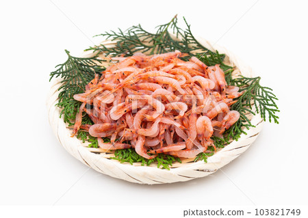 原始的Sakebea 103821749