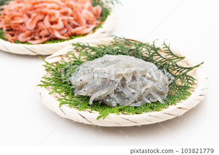 生銀魚和生櫻花蝦 103821779