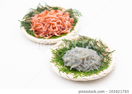 生銀魚和生櫻花蝦 103821783