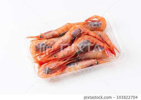 Shrimp 103822704