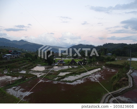 Rice Terraces in Mayoyao Town, Ifugao, Philippines (World Heritage) 103823608