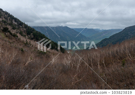 岳澤的風景 岳澤的風景 103823819