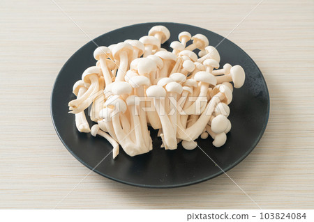 white beech mushroom or white reishi mushroom 103824084
