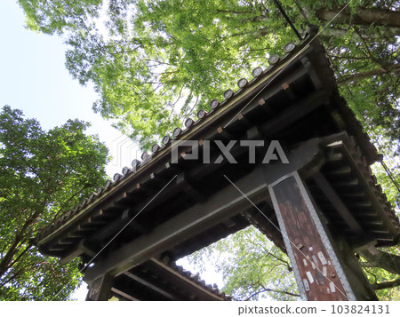 Yoshino's Kinpusenji Black Gate Yoshino's Kinpusenji Black Gate 103824131