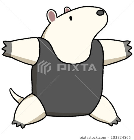 Minami core leak 103824565