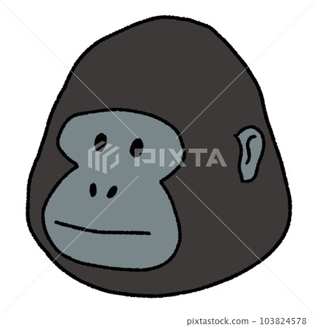 Gorilla 103824578