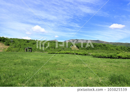 從Dragondola山頂站看到的苗場山 103825539