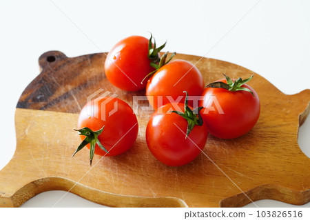 Tomato Tomato 103826516