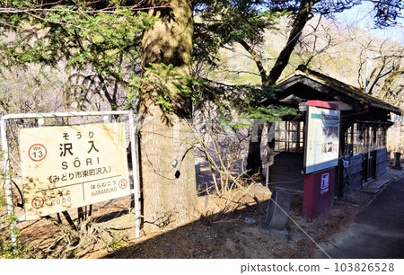 View from Watarase Keikoku Railway Sawairi Station 103826528