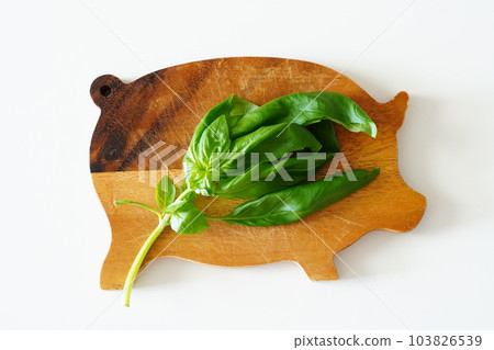 basil basil 103826539