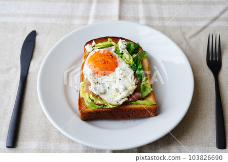 Spring cabbage open sandwich Spring cabbage open sandwich 103826690