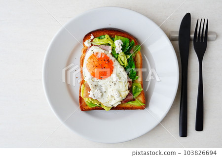 Spring cabbage open sandwich Spring cabbage open sandwich 103826694