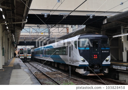 JR高崎站特急赤城號(E257系)和普通列車(211系) JR高崎站特急赤城號(E257系)和普通列車(211系) 103828458