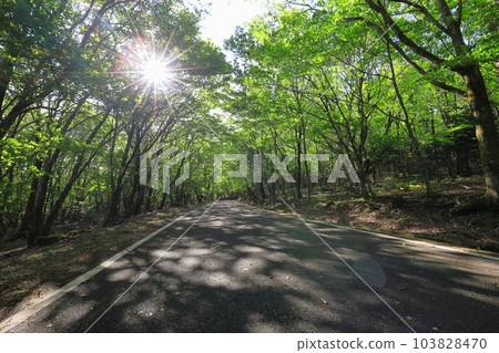 Happogahara / Yaita City, Tochigi Prefecture 103828470