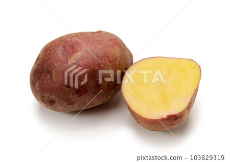Potato native to South America, Andean red Potato native to South America, Andean red 103829319