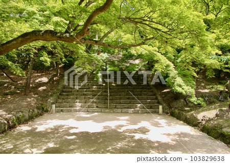 Kamado Shrine (Dazaifu City, Fukuoka Prefecture) 103829638