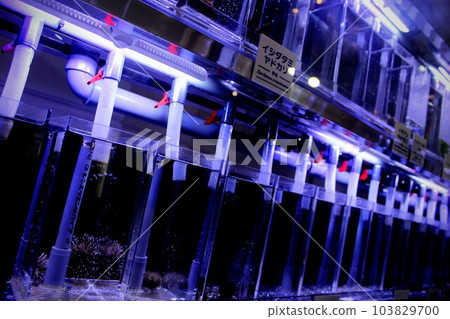 aquarium in research facility 103829700