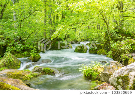 Oirase Valley in early spring Ashura Flow 103830699