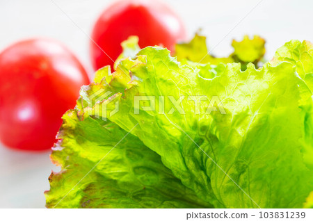 Sunny lettuce and cherry tomatoes 103831239