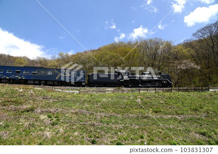 JR釜石線,也運行蒸汽機車 JR釜石線,也運行蒸汽機車 103831307