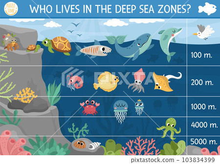 Vector under the sea landscape illustration. Ocean life scene poster with animals, dolphin, whale, jellyfish, crab, tortoise. Educational water nature background. Who lives in the deep sea zone Vector under the sea landscape illustration. Ocean life scene poster with animals, dolphin, whale, jellyfish, crab, tortoise. Educational water nature background. Who lives in the deep sea zone 103834399