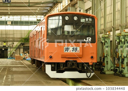 Kuha 201-1 停靠站（青梅特快青梅展示） 103834448