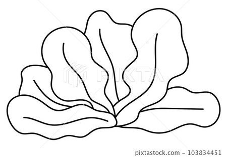 seaweeds clipart black and white fish