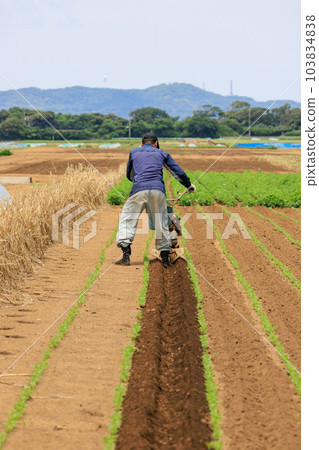 A farmer plowing a field with a small cultivator A farmer plowing a field with a small cultivator 103834838