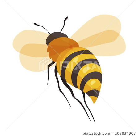 Bee insect, honeybee character in closeup vector Bee insect, honeybee character in closeup vector 103834903
