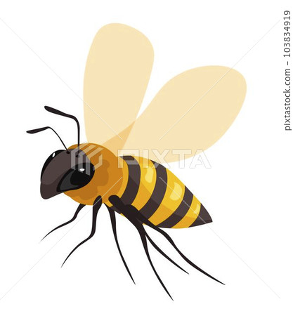 Bee insect, honeybee or wasp closeup vector icon Bee insect, honeybee or wasp closeup vector icon 103834919
