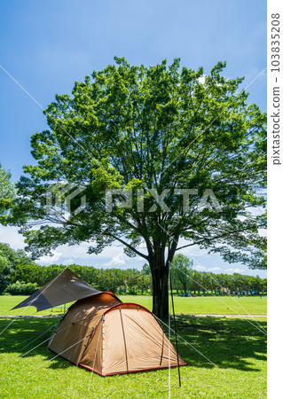 Day camp at Akigase Park in Saitama Prefecture 103835208