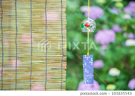 花園裡盛開的繡球花和風鈴 103835543
