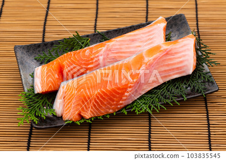 銀鮭魚 銀鮭魚 103835545