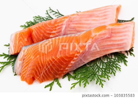 銀鮭魚 103835583
