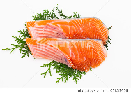 銀鮭魚 銀鮭魚 103835606