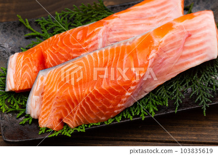 銀鮭魚 銀鮭魚 103835619