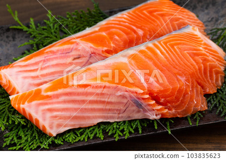 銀鮭魚 銀鮭魚 103835623