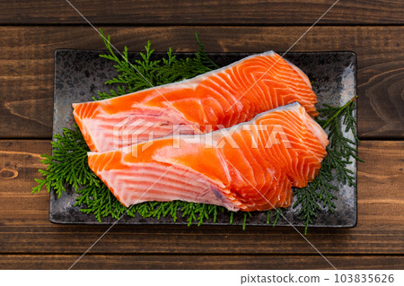 銀鮭魚 銀鮭魚 103835626