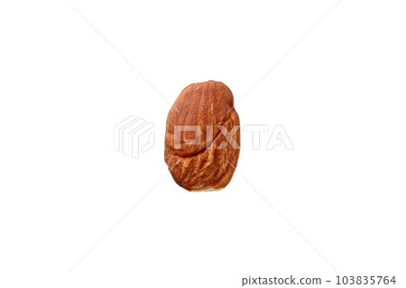 Almond with translation (white background, no shadow) 103835764