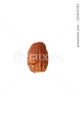 Almond with translation (white background, no shadow) 103835767
