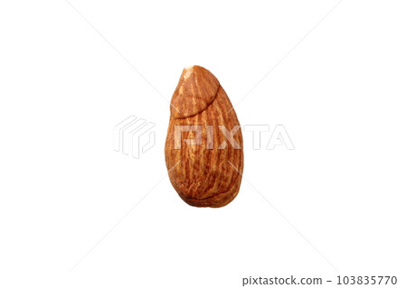 Almond with translation (white background, no shadow) Almond with translation (white background, no shadow) 103835770