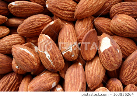 almond with reason 103836264