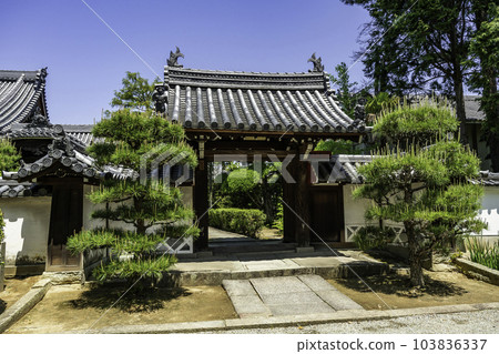 兵庫縣加古川市加古川覺林寺寶生院 兵庫縣加古川市加古川覺林寺寶生院 103836337