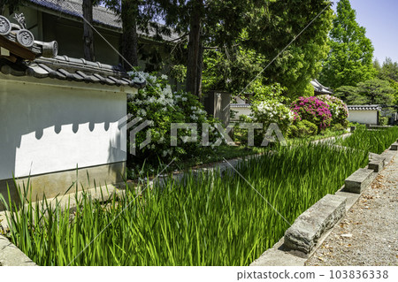 兵庫縣加古川市加古川覺林寺寶生院 兵庫縣加古川市加古川覺林寺寶生院 103836338