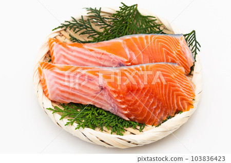 銀鮭魚 銀鮭魚 103836423